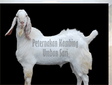 Tablet Screenshot of kambingindonesia.com